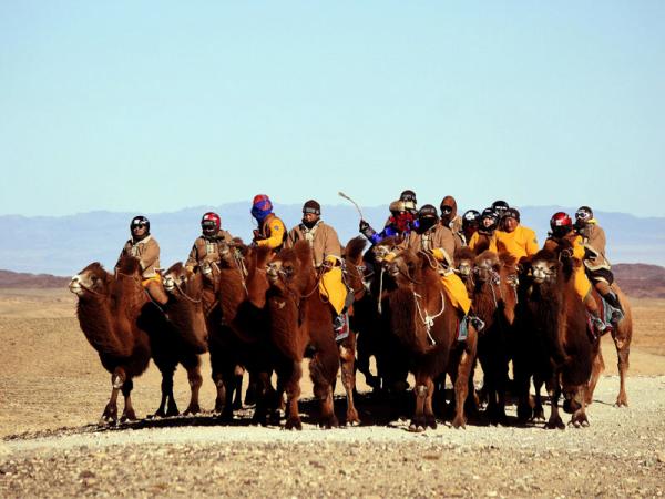 “Gobi challenge-2020” тэмээн аялал үзэгчдийн хүртээл болно