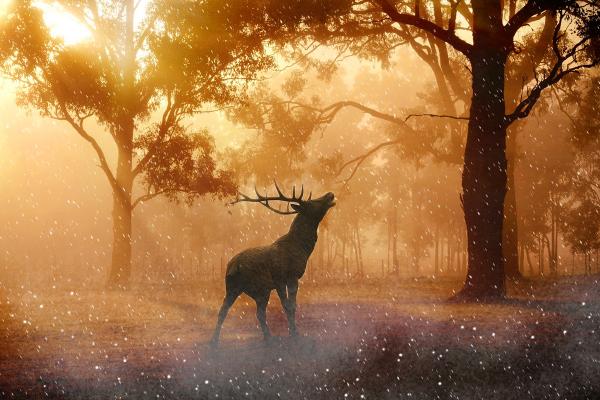 Улаанбаатарт өдөртөө 19 хэм дулаан