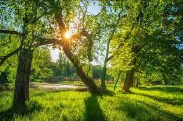 Улаанбаатарт өдөртөө 34 хэм дулаан