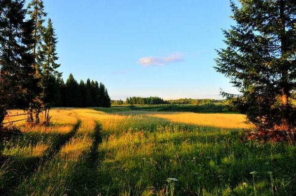 Улаанбаатарт өдөртөө 23 хэм дулаан