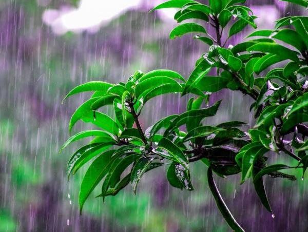 Улаанбаатарт өдөртөө 25 хэм дулаан