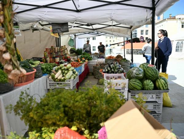 "Алтан намар-2025” өргөтгөсөн худалдаагаар бүх төрлийн ногоог хямд үнээр борлуулж байна