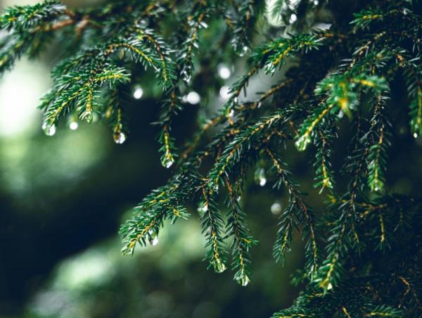 Улаанбаатарт өдөртөө 18 хэм дулаан