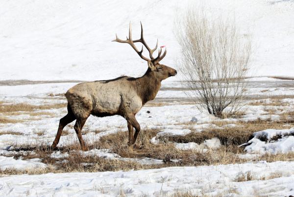 Улаанбаатарт өдөртөө 3 хэм хүйтэн