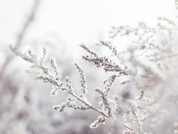 Улаанбаатарт өдөртөө 16 хэм хүйтэн