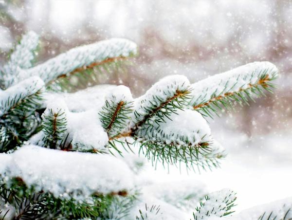 Улаанбаатарт өдөртөө 20 хэм дулаан