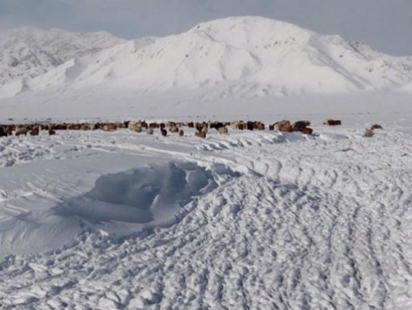 Нийт нутгийн 87 хувьд цастай байна