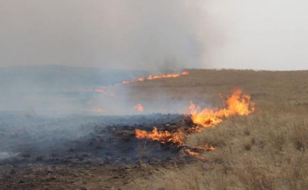 Сүхбаатар аймагт гарсан хээрийн түймрийг бүрэн унтраажээ