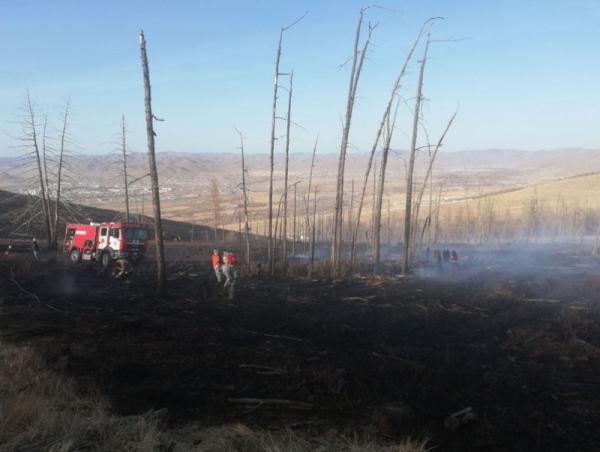 Ой, хээрийн бүсэд зорчихдоо галын аюулгүй байдлыг хангахыг анхааруулж байна