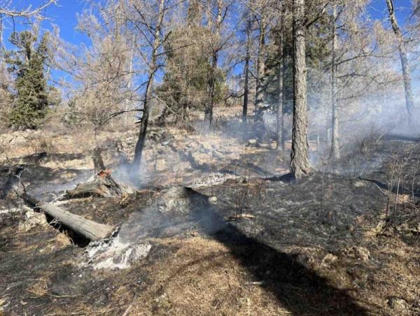 Богдхан ууланд гарсан ой хээрийн түймрийг бүрэн унтраалаа