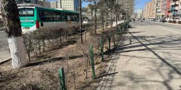 Нийтийн эзэмшлийн зам, талбай, ногоон байгууламжийг арчилж, цэвэрлэж байна