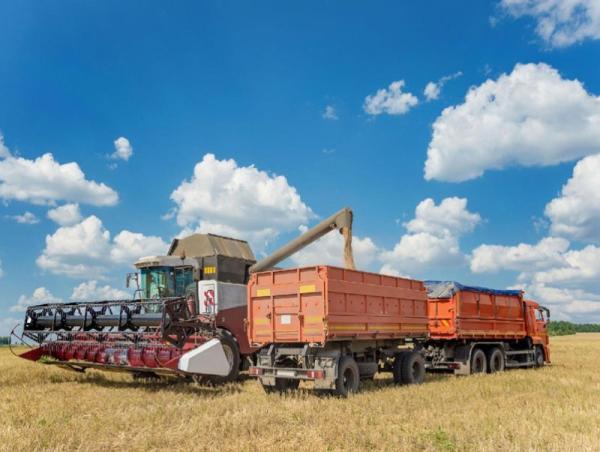 Экспортолсон ургамлын гаралтай бүтээгдэхүүний хэмжээ 183.5 мянган тоннд хүрэв