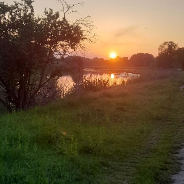 Улаанбаатарт өдөртөө 24 хэм дулаан