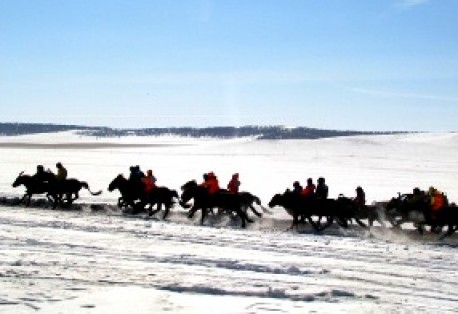 “Дүнжингарав-2012” хурдан морины хаврын уралдаан болж өндөрлөлөө