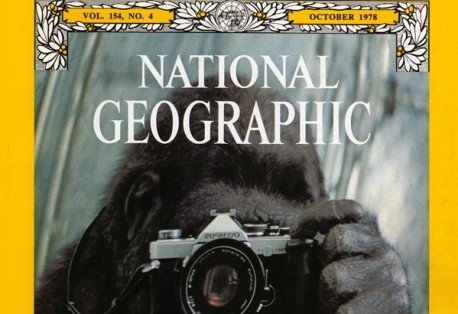 National Geographic Монголд