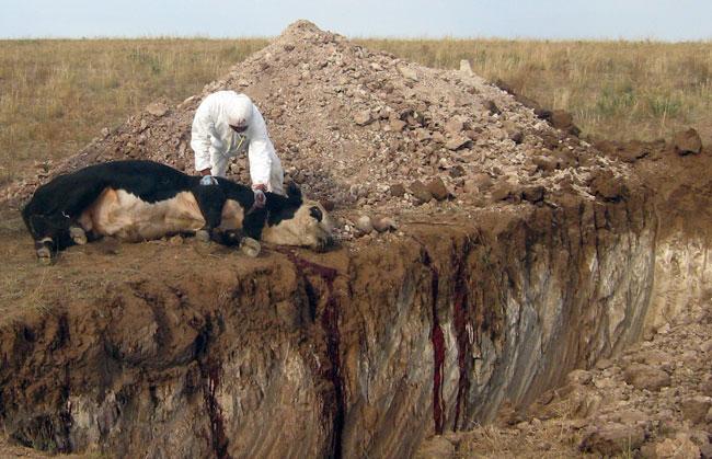 Шүлхий өвчний талаар авсан арга хэмжээг танилцууллаа