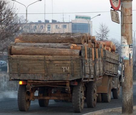  Хууль бусаар мод бэлтгэжээ 