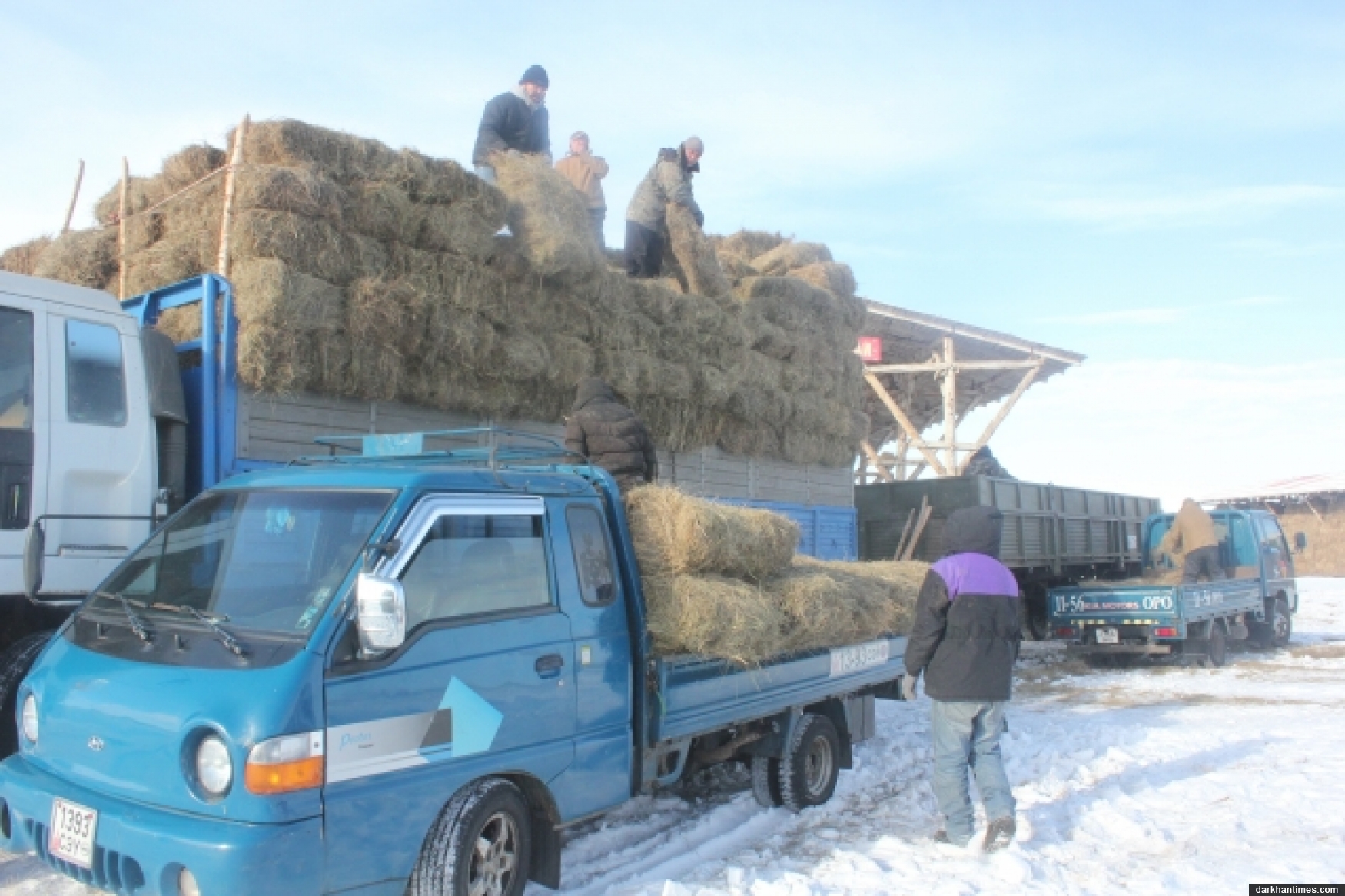 Өвөлжилт хүндэрсэн 137 суманд өвс, малын тэжээл хүргэнэ