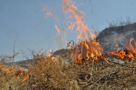 Ногоон бүс дэх хуурайшилтын зэрэглэл аюултай түвшинд хүрчээ