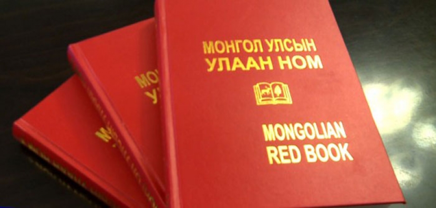 Та “Улаан ном”-ыг хэр сайн мэдэх вэ? 