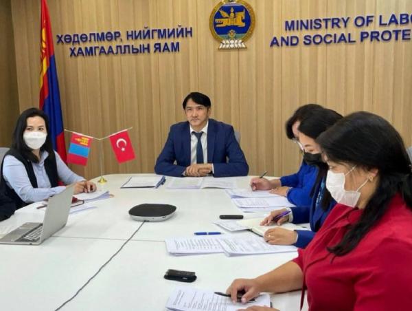 Монгол, Турк улс хоорондын хэлэлцээрийг хэрэгжүүлэх асуудлаар хоёр улсын эрх бүхий байгууллагууд цахим уулзалт хийлээ