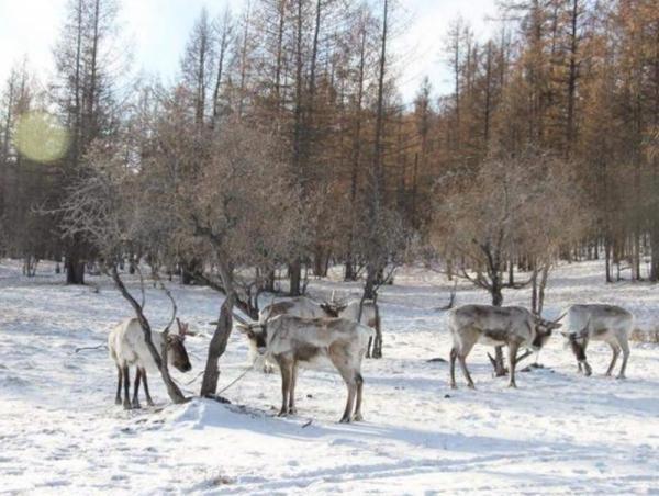 Цаг агаарын аюултай үзэгдлээс сэрэмжлүүлж байна!