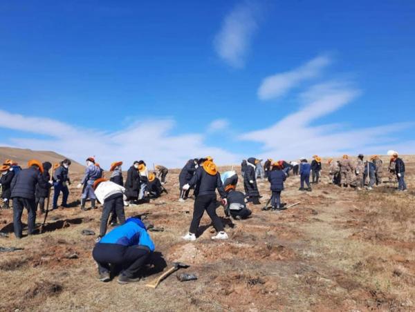 Нийслэлд намрын мод тарих өдөр 10 дугаар сарын 5-наас эхэлнэ