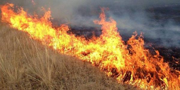 Хээрийн түймэрт урьдчилсан байдлаар 7500 орчим га талбай өртсөн байна