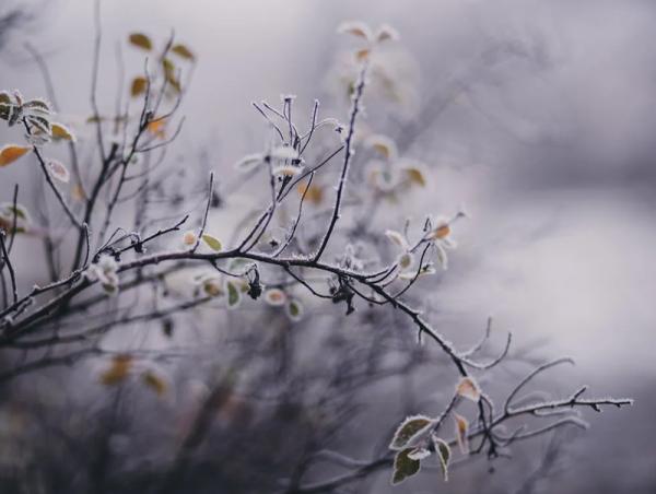 Улаанбаатарт өдөртөө 9 хэм дулаан