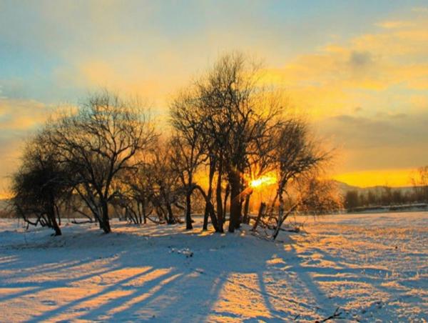 Өнөөдөр ихэнх нутгаар цаг агаар тогтуун, жавартай хүйтэн байна